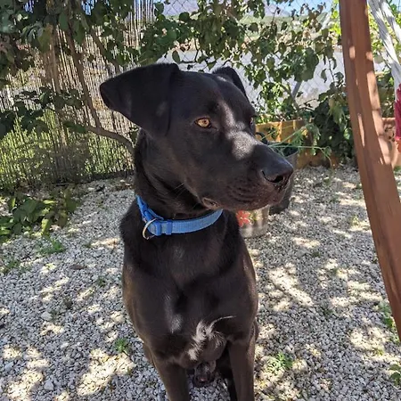 Finca Esperanza Hotel Benitachell