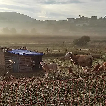 酒店 Finca Esperanza