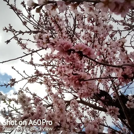 Finca Esperanza * 贝尼塔切利